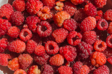 heap of ripe raspberries