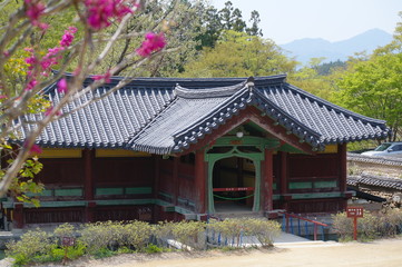 Songgwangsa Buddhist Temple