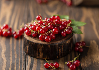 Ripe red currants close-up as background.