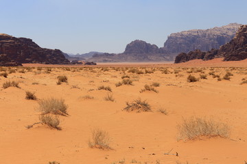 Red dunes in the Wadi Rum desert, Jordan 