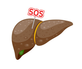 Human liver symbol with SOS sign. Internal organ requires care or medical treatment due to disease or impact of adverse on health. Vector illustration isolated on white background.