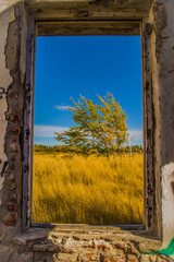 ventana otoño