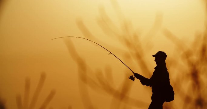 A proficient fishman catching fish with professional spinning rod in hands from the shore. lake in golden sunset 4k