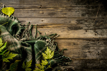 Autumn theme background