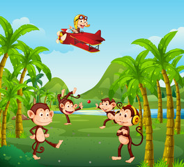 A group of monkey in jungle