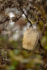 jesień © Piotr Łaskawski