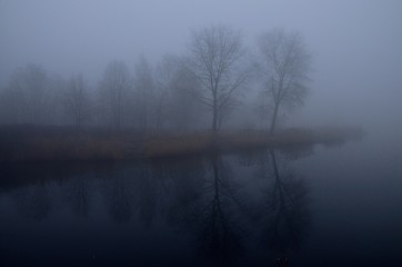 Obraz na płótnie Canvas mgła