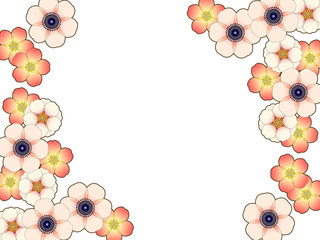 Frame of anemone and wild rose