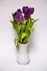 tulipany