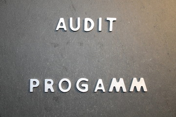 Fototapeta na wymiar Audit Programm