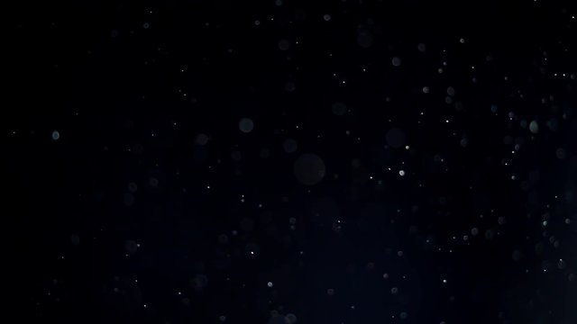Floating particles on black background. Slow motion.
