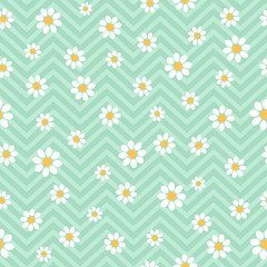 Seamless pattern with daisies. Vector floral pattern.