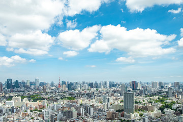 Fototapeta premium 東京風景
