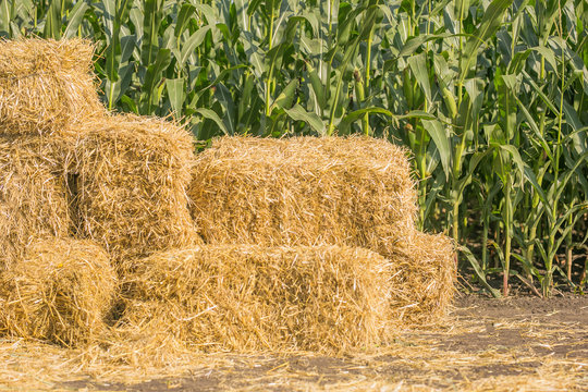 Hay Bale Square Images Browse 2 292 Stock Photos Vectors And Video Adobe Stock