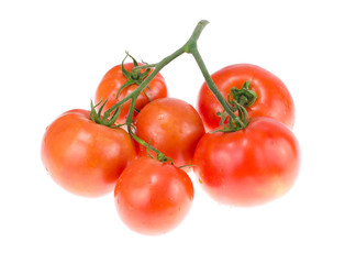 Branch of ripe red tomatoes on white background