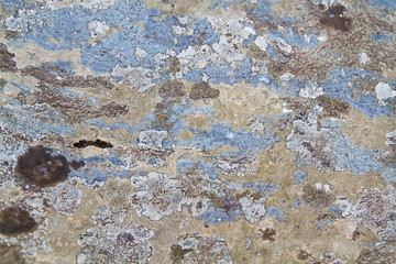 Urban Texture