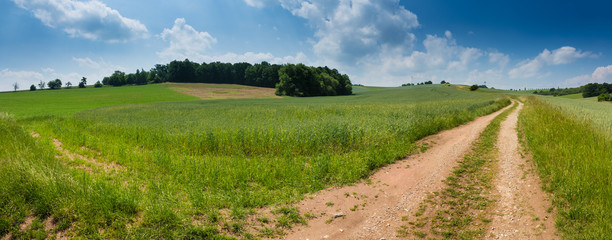 Summer panorama of summer and the dirt road