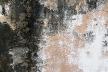 Walls covered with dust and mold,Concrete old background