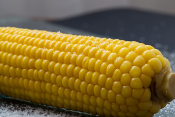 Corn on a dark background with salt close-up