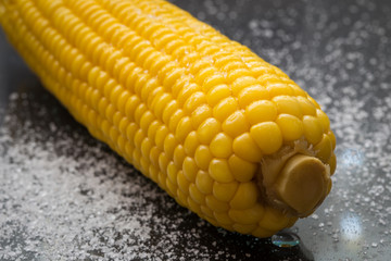 Corn on a dark background with salt close-up