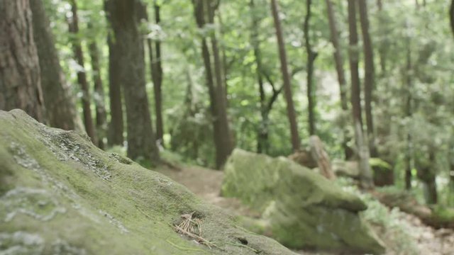 Downhill runs towards an red arcade and climbs it