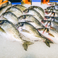 Royal trout fish on display in the fish shop