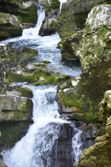 Obraz premium Les pertes de l'Ain (Bourg-De-Sirod,Jura)