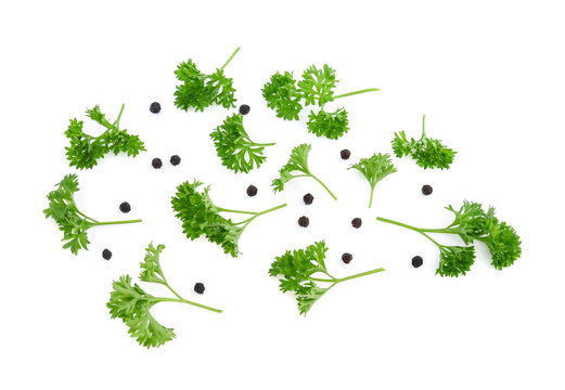 parsley and pepper isolated on white background