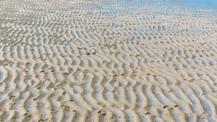 beach in low tide, sand, background
