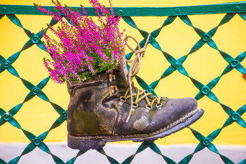 Shoe as flowerpot with heather flowers in house garden in Austria