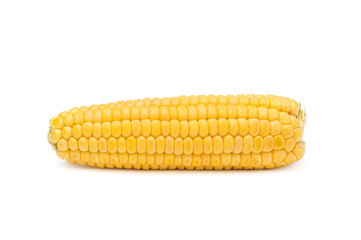 Ear of corn on white background.