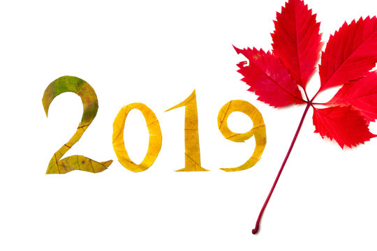 2019. digits carved from yellow maple leaves on white background