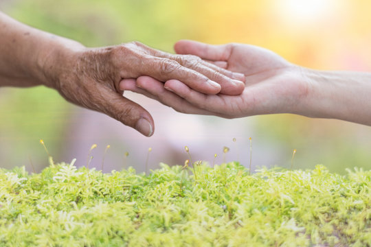 .Caregiver, carer hand holding elder hand in hospice care. Philanthropy kindness to disabled old people concept.Happy mother's day.