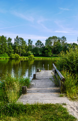 Fototapeta premium One wooden pier at the edge of a reflective lake surrounded by trees. Taken on a sunny day in Dinkelsbühl, Bavaria, Germany
