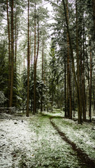 Forest Pathway in winter with snow on the ground. Taken in Dentlein Am Forst in Bavaria, Germany