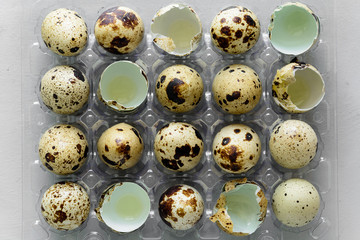 Quail eggs in a transparent plastic container on gray wooden background. Top view.