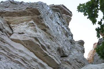 The limestone rocks.