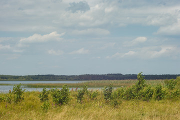 Lake on a sunny day with blue sky and white clouds.