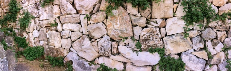 Background of an countryside wall made of clear stones ste like a puzzle with plants growing in the chinks
