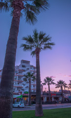 Obraz premium Palm Sunset Mallorca