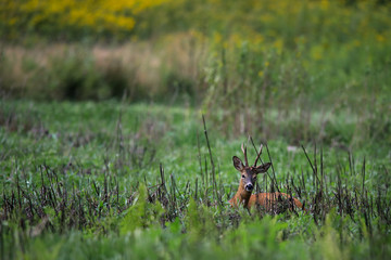 Bieszczady © marcinbawiec
