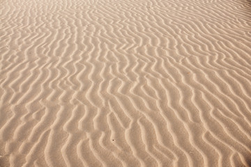 Fototapeta na wymiar dune waves