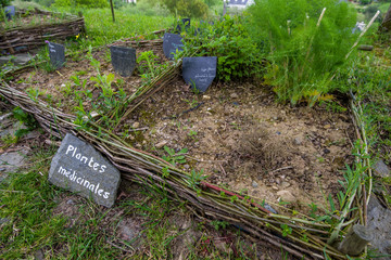 Obraz premium Jardin de plantes médicinales