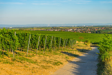 Blick auf westhofen wonnegau rheinhessen und odenwald