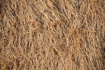closeup straw at roof hut in the countryside