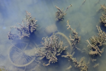 Bicicletta sotto l'acqua nel fiume, bicycle in the river waters © picture10