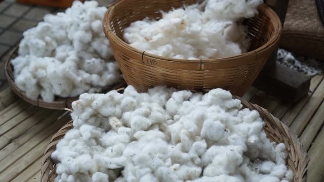 Raw cotton in bamboo basket. Material before process for fibre textile video 4k