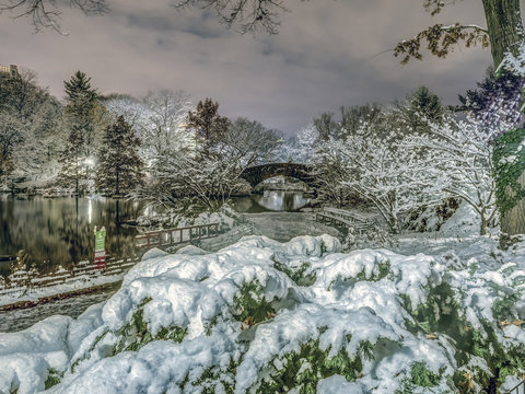 Central Park Snow storm