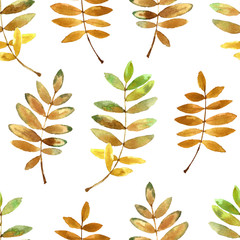 Watercolor pattern with bright autumn leaves.
