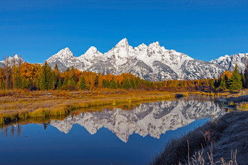 Snow covered grand tetons range reflected in the calm water with vibrant fall foliage in the...